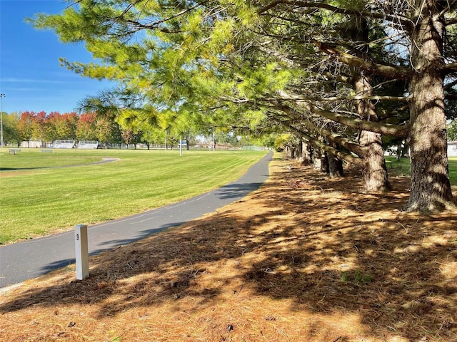 view of property's community with a yard