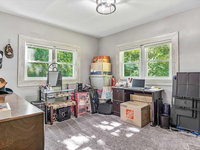 carpeted home office with a healthy amount of sunlight