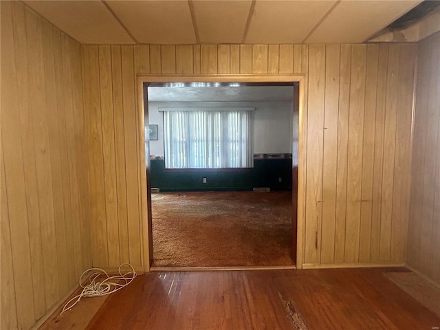 hall featuring wood walls and hardwood / wood-style floors