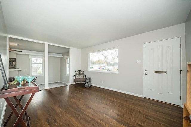 entrance foyer featuring plenty of natural light and dark wood-type flooring