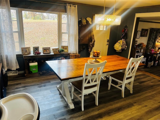 dining space with dark hardwood / wood-style floors