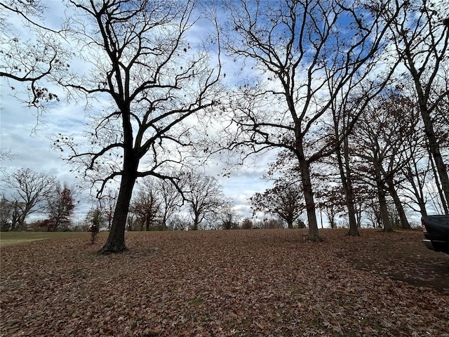 view of nature