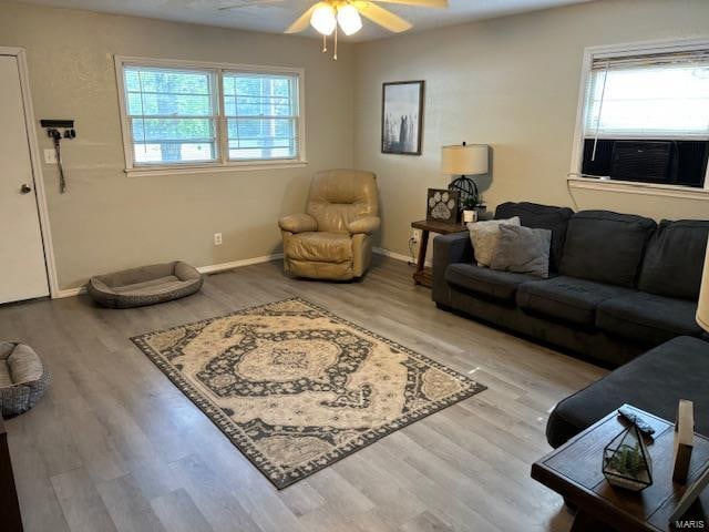 living room with ceiling fan and light wood-type flooring