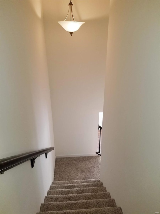 stairway with carpet floors