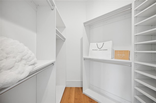 spacious closet featuring light hardwood / wood-style flooring