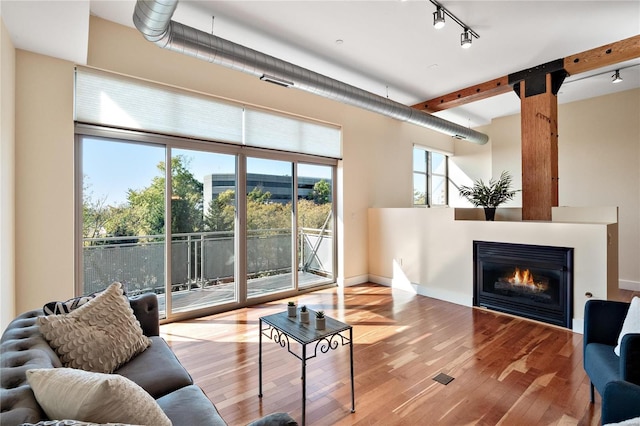 living room featuring light wood-type flooring and track lighting