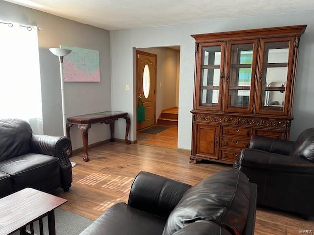 living room with light wood-type flooring