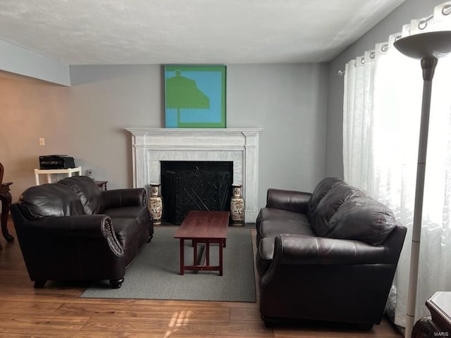 living room featuring a textured ceiling and hardwood / wood-style flooring