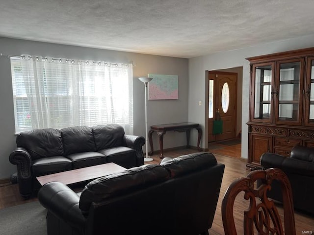 living room with light hardwood / wood-style flooring and a textured ceiling