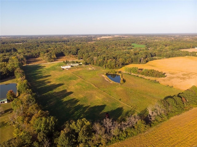 birds eye view of property featuring a rural view and a water view