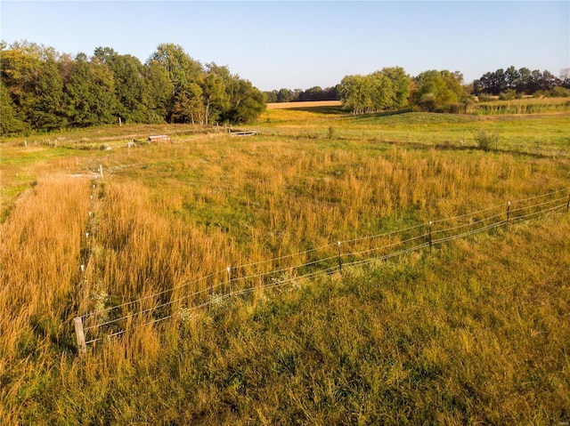 view of local wilderness with a rural view