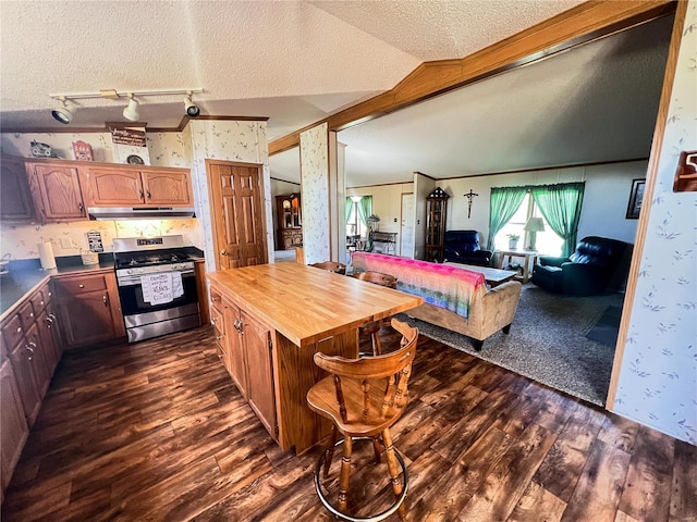 kitchen featuring stainless steel range, a textured ceiling, lofted ceiling, and dark wood-type flooring