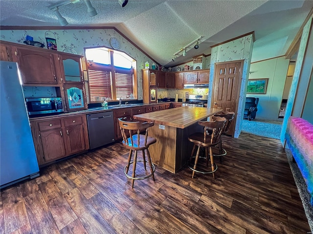 kitchen featuring lofted ceiling, dark hardwood / wood-style floors, appliances with stainless steel finishes, and a textured ceiling