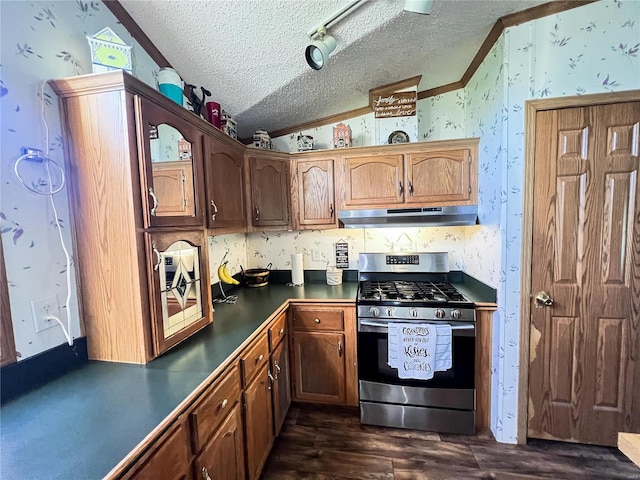 kitchen featuring ornamental molding, stainless steel range with gas stovetop, a textured ceiling, vaulted ceiling, and dark hardwood / wood-style flooring