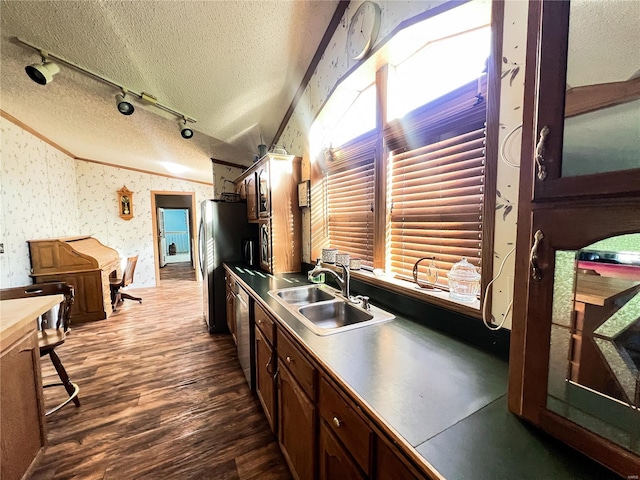 kitchen with rail lighting, dark hardwood / wood-style flooring, sink, appliances with stainless steel finishes, and a textured ceiling