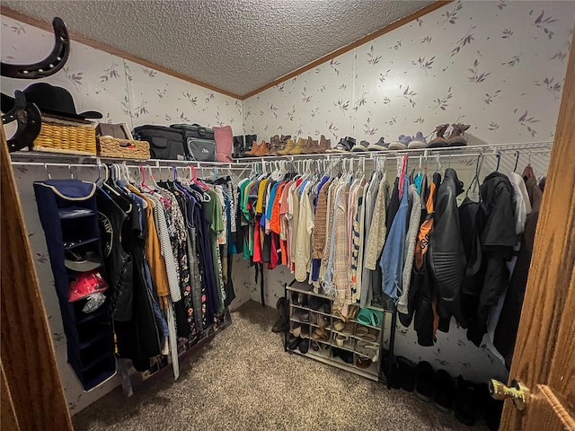 walk in closet featuring carpet flooring