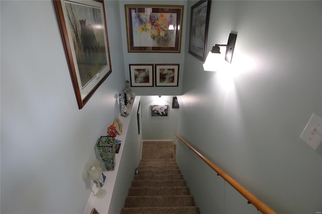 stairway featuring carpet floors