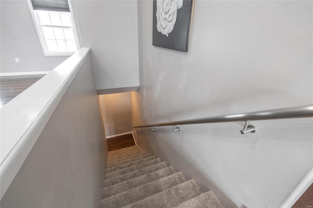 staircase with hardwood / wood-style flooring