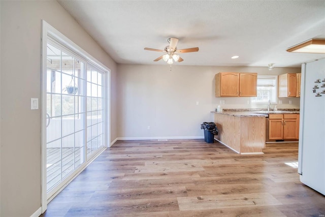 kitchen featuring white fridge, light hardwood / wood-style floors, plenty of natural light, and light brown cabinets