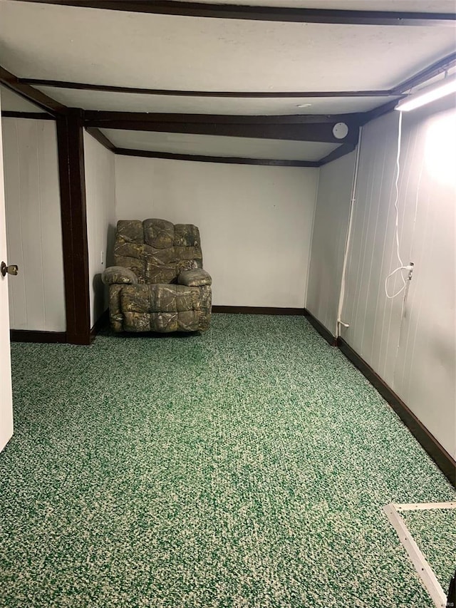 basement with carpet