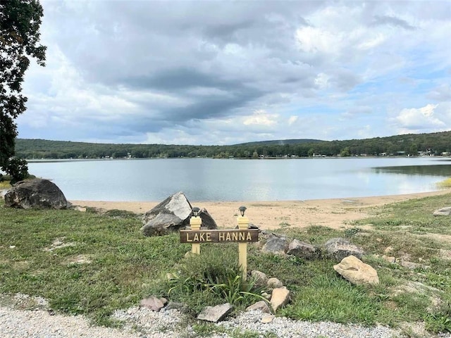 view of water feature