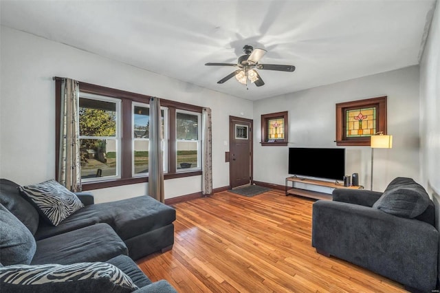 living room with ceiling fan and light hardwood / wood-style floors