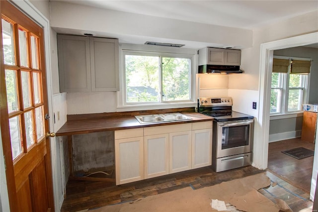 kitchen with a healthy amount of sunlight, stainless steel range with electric cooktop, and sink