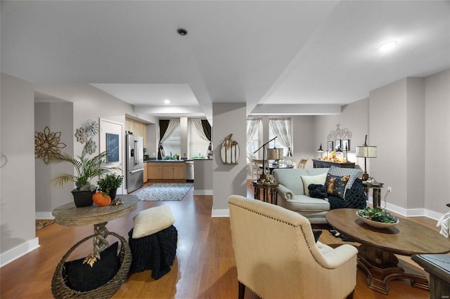 living room featuring wood-type flooring