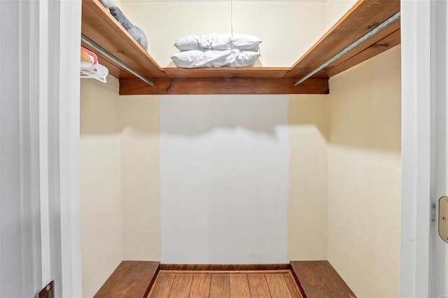 spacious closet featuring wood-type flooring