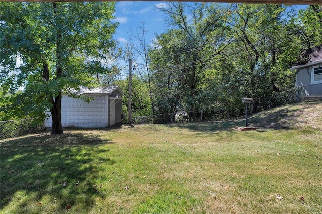 view of yard featuring a storage shed