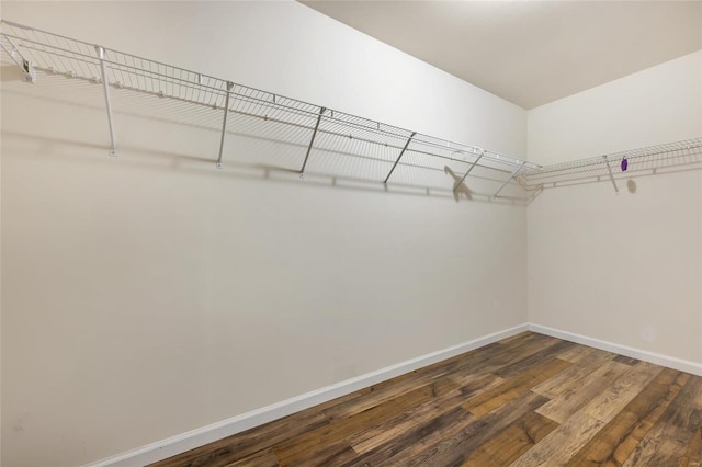 walk in closet featuring hardwood / wood-style floors