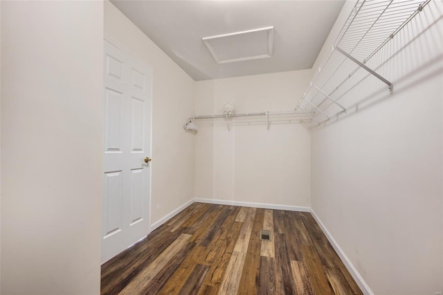 spacious closet with dark hardwood / wood-style floors