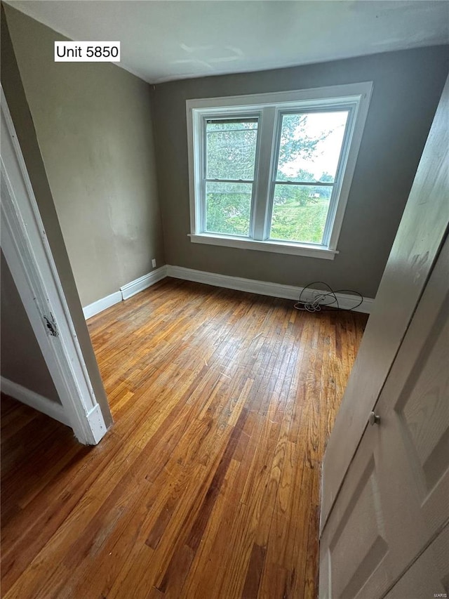 spare room with light hardwood / wood-style floors