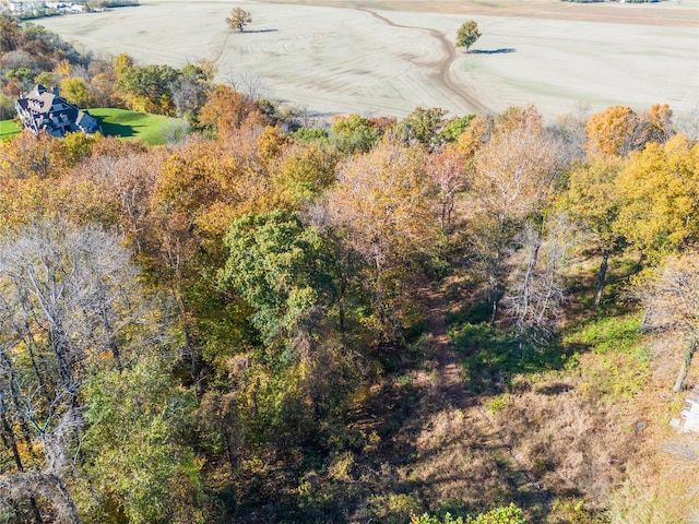 bird's eye view with a wooded view