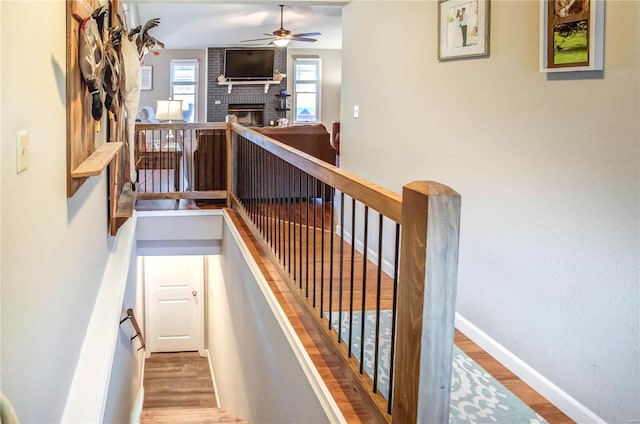 stairway featuring ceiling fan, a fireplace, and hardwood / wood-style flooring