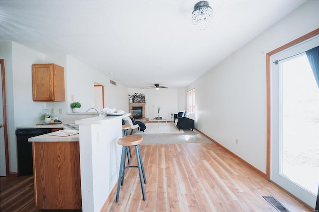 kitchen with a stone fireplace, dishwasher, light hardwood / wood-style floors, and a wealth of natural light