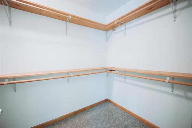 spacious closet featuring carpet floors