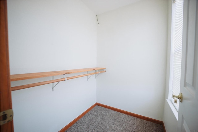 spacious closet with carpet flooring