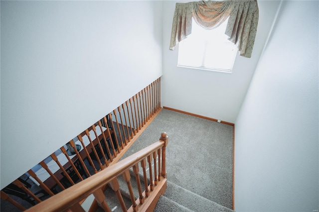 stairway with carpet flooring