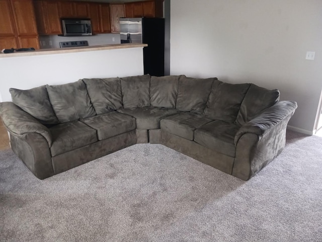 living room with light carpet