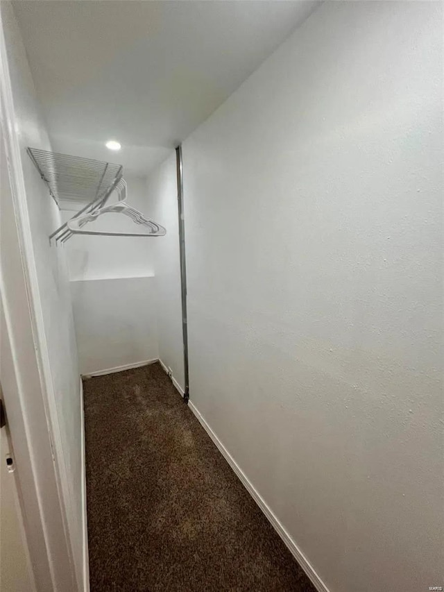 spacious closet featuring carpet flooring