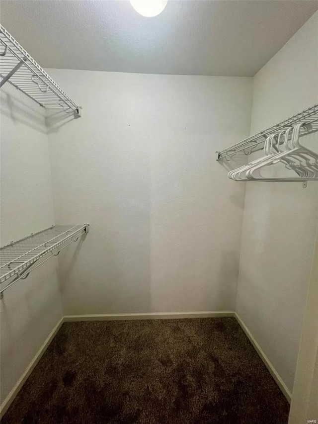 walk in closet featuring carpet flooring