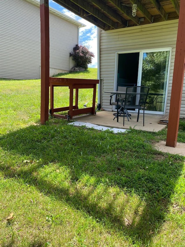 view of yard with a patio