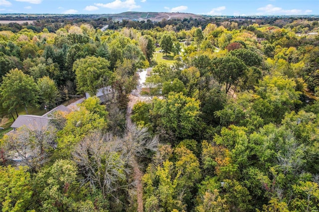 bird's eye view