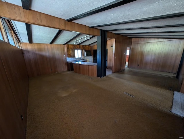 basement featuring wooden walls