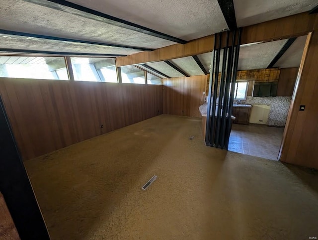 basement with plenty of natural light and wood walls