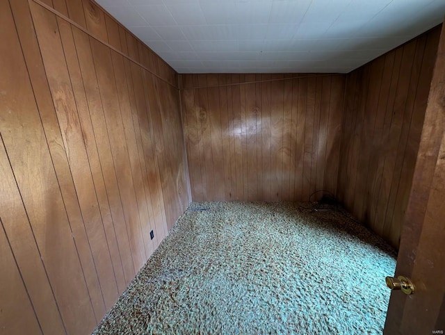 empty room featuring wooden walls