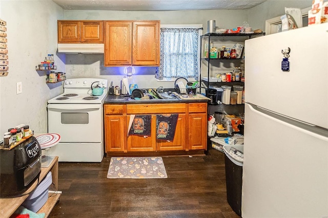 kitchen featuring white appliances and dark hardwood / wood-style flooring