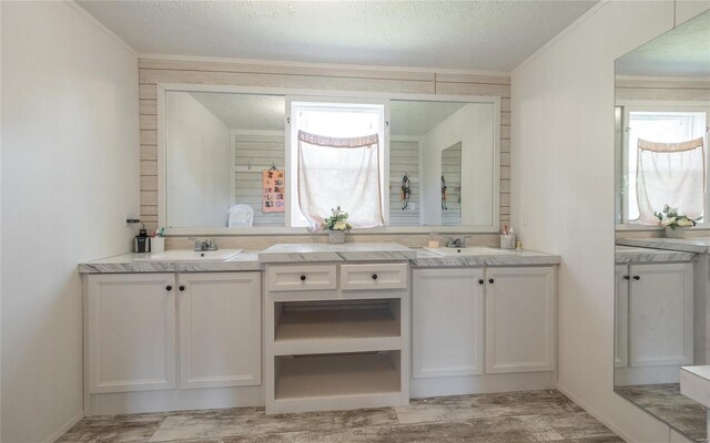 bathroom featuring vanity, crown molding, and a textured ceiling