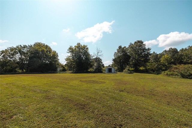 view of yard with a storage shed